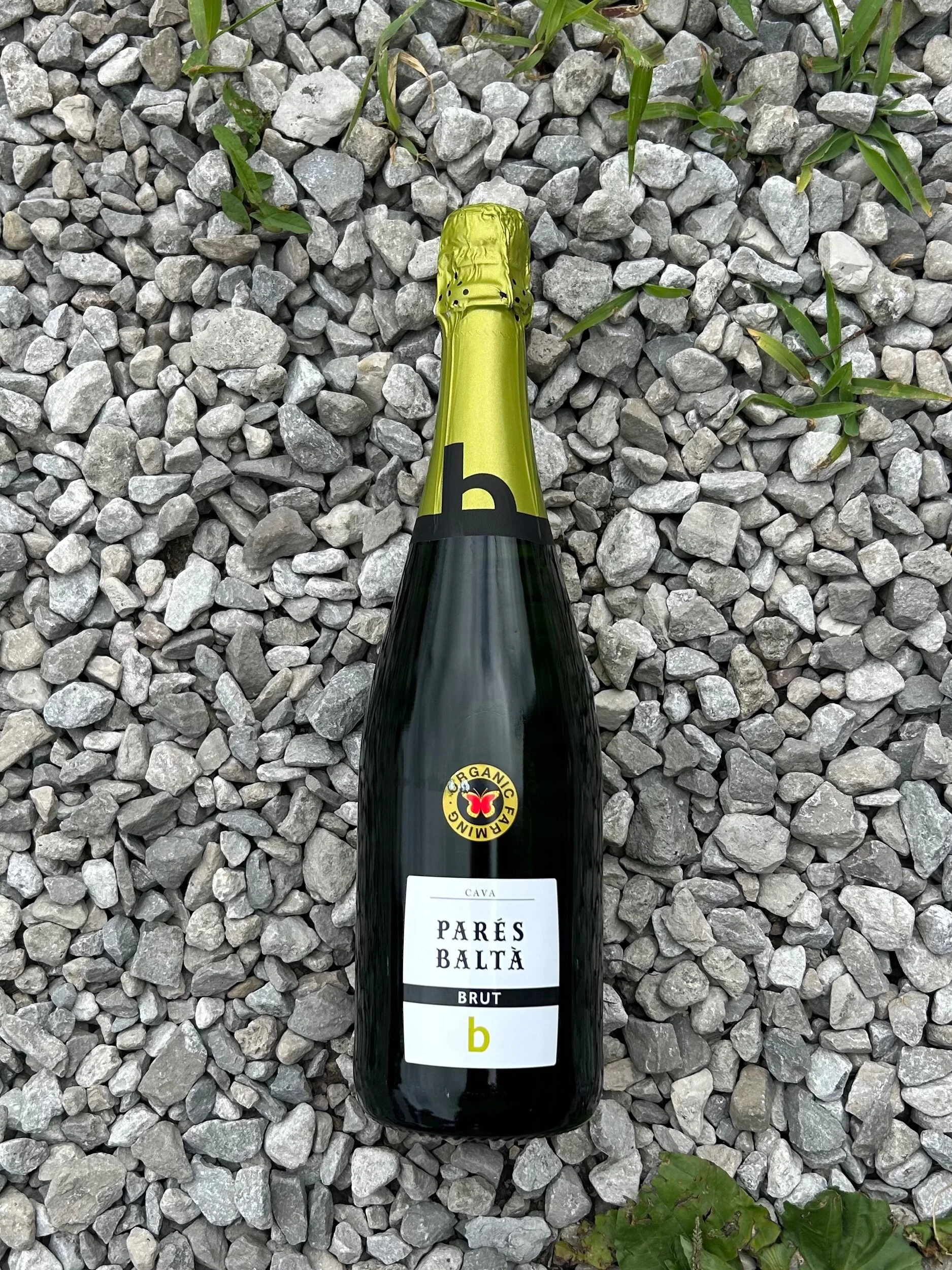 601F2F61-7E7C-4CF2-9FEE-5F28E5E9F025