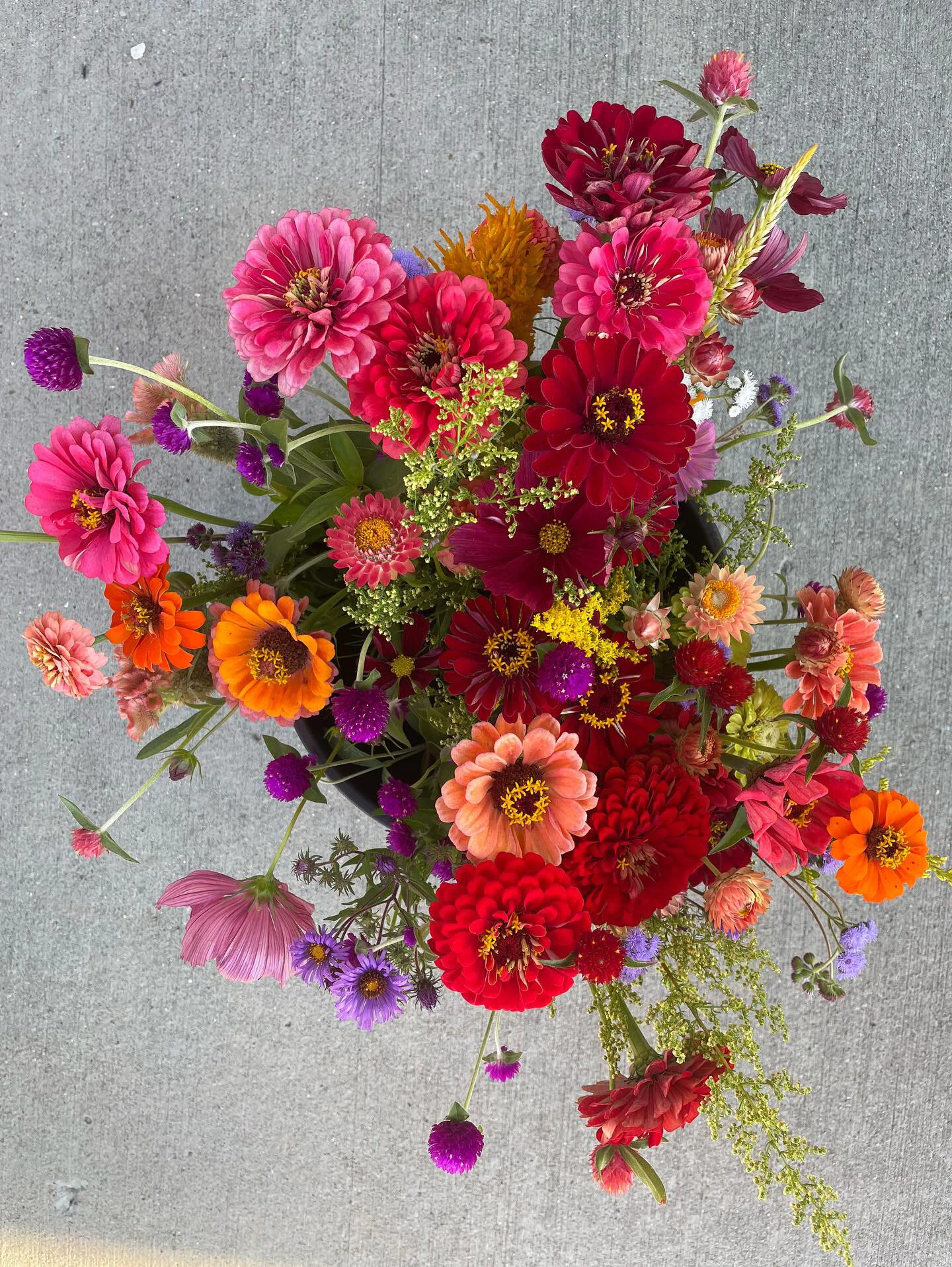 00561CA0-BCF6-46A5-9B48-CFFB51F55674