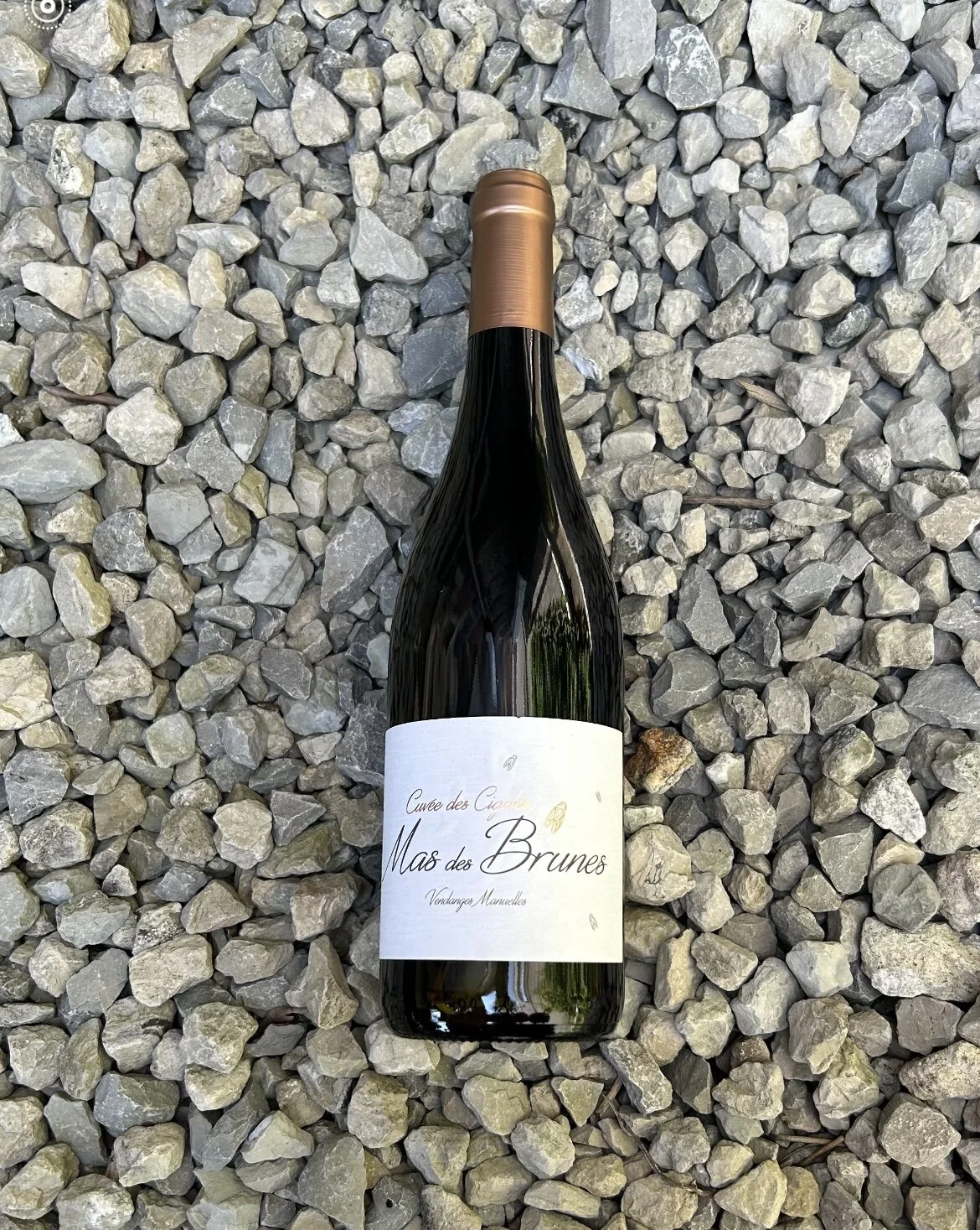 B9722082-A816-4D4D-82E8-4E2F16661D1C