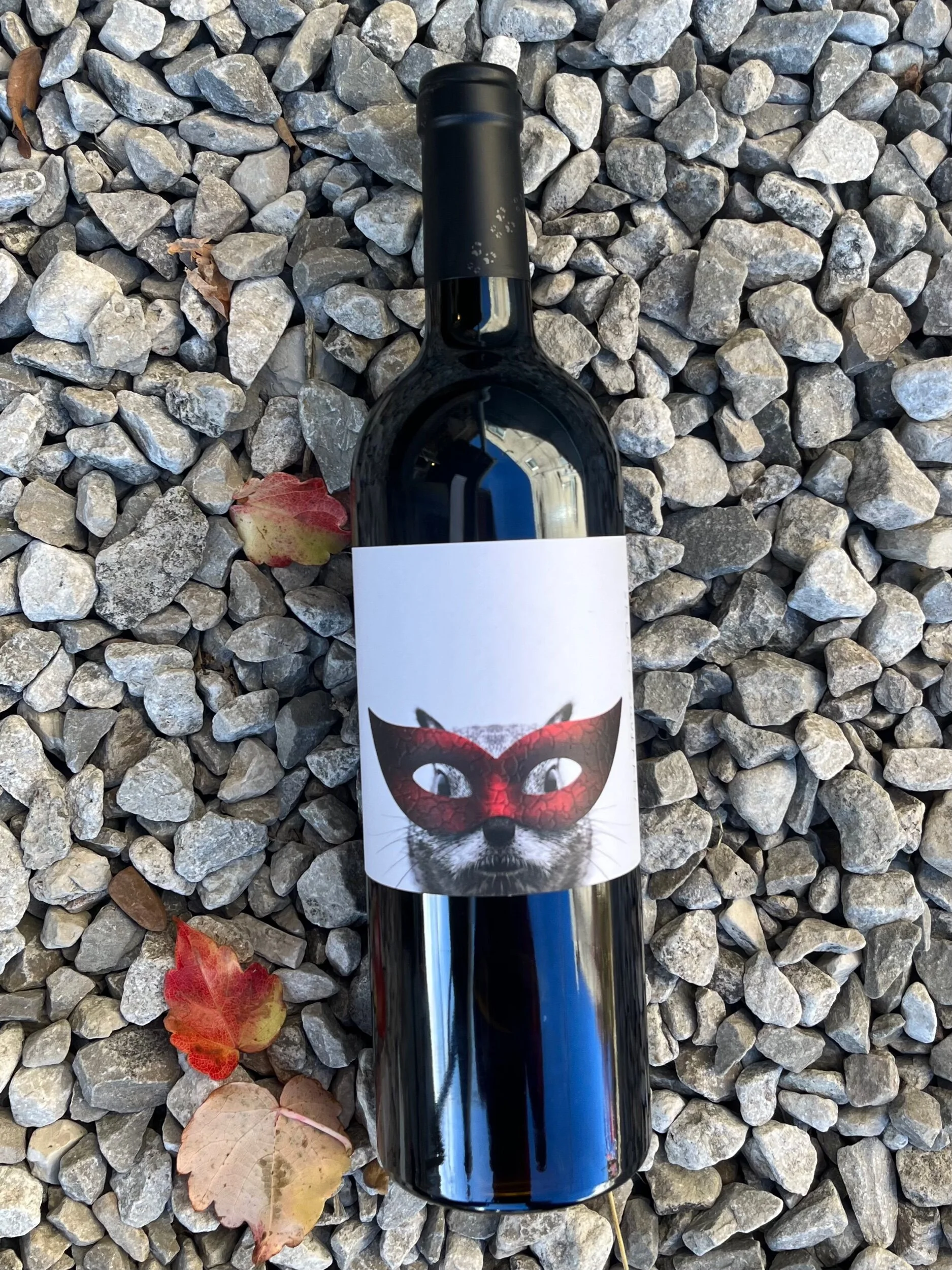 FD2D58E2-CBDA-4732-8D5C-38802B39A642