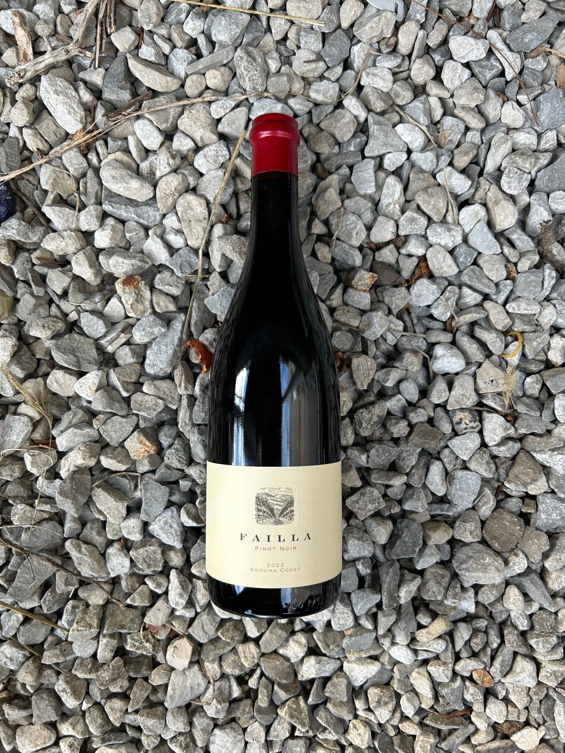 1C4E47D0-284A-4F07-BA5E-A4B21CD3F805