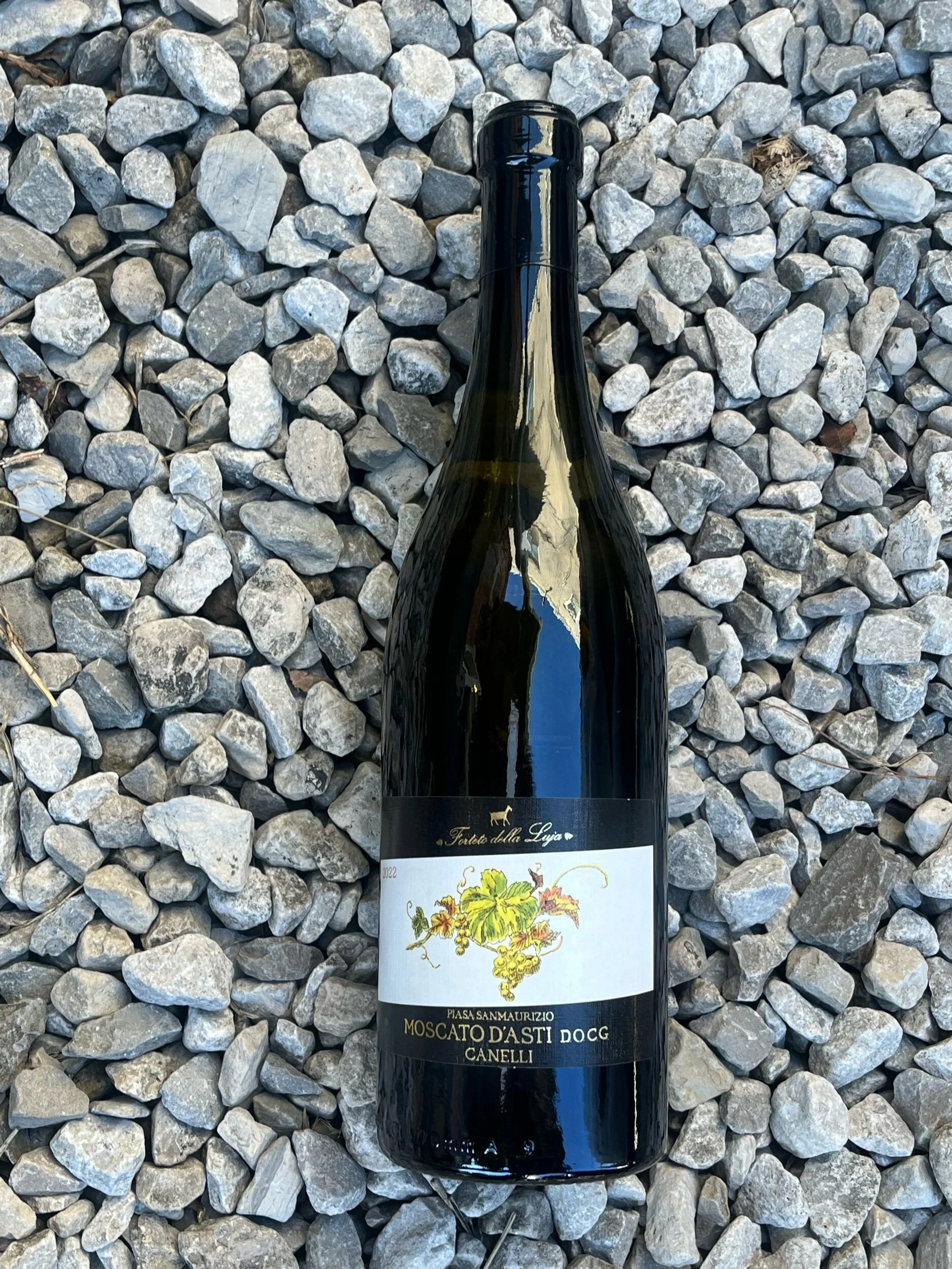 3D651C18-4E5E-4E44-9E31-91265455FB7C