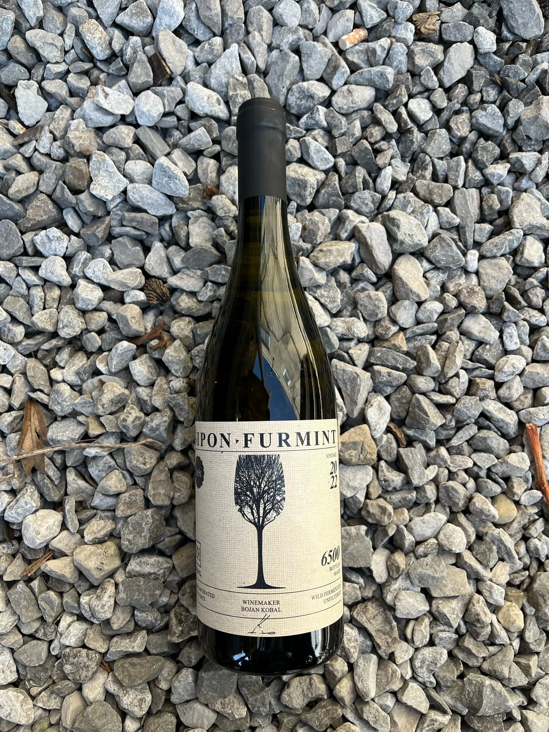 BB3640BC-A27F-464E-A24C-0771C384BEE8