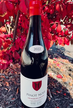 Anne Amie Pinot Noir — meza wine shop