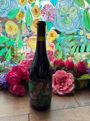 Anne Amie Pinot Noir — meza wine shop