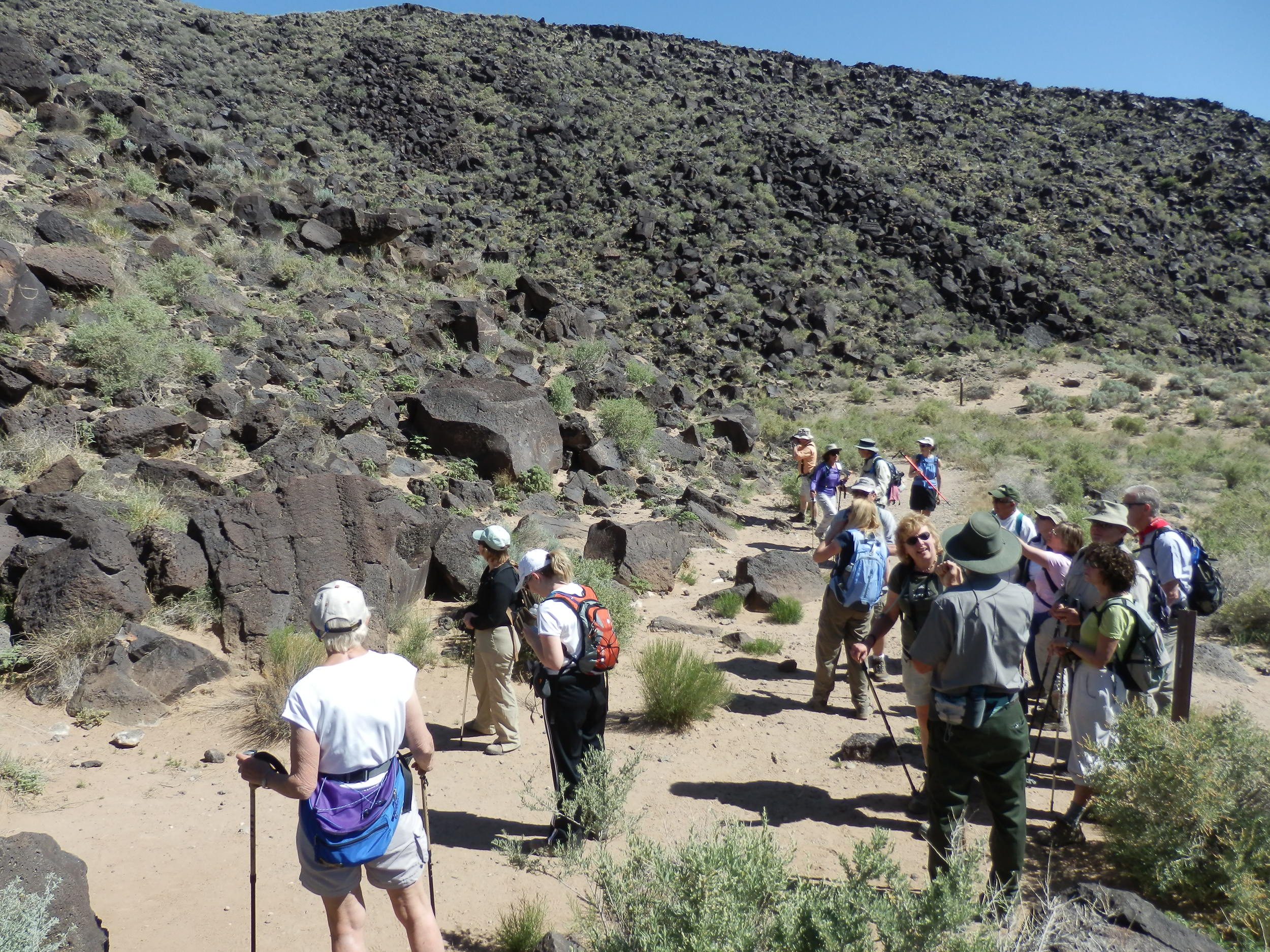 Petroglyphs in New Mexico
