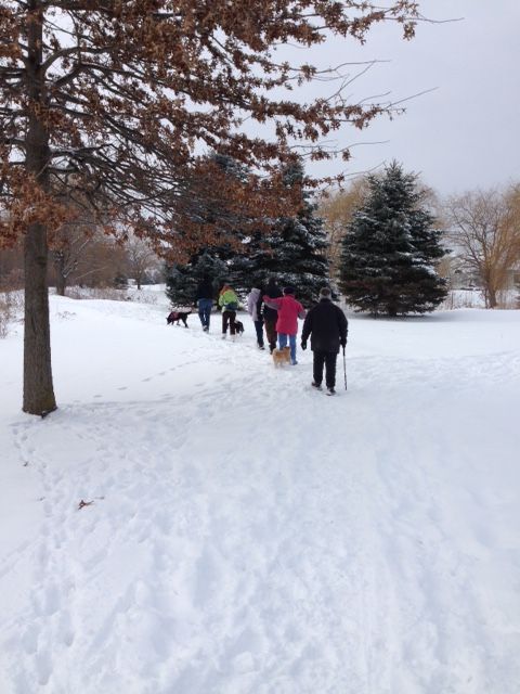 Dog Hike at Hoover Park
