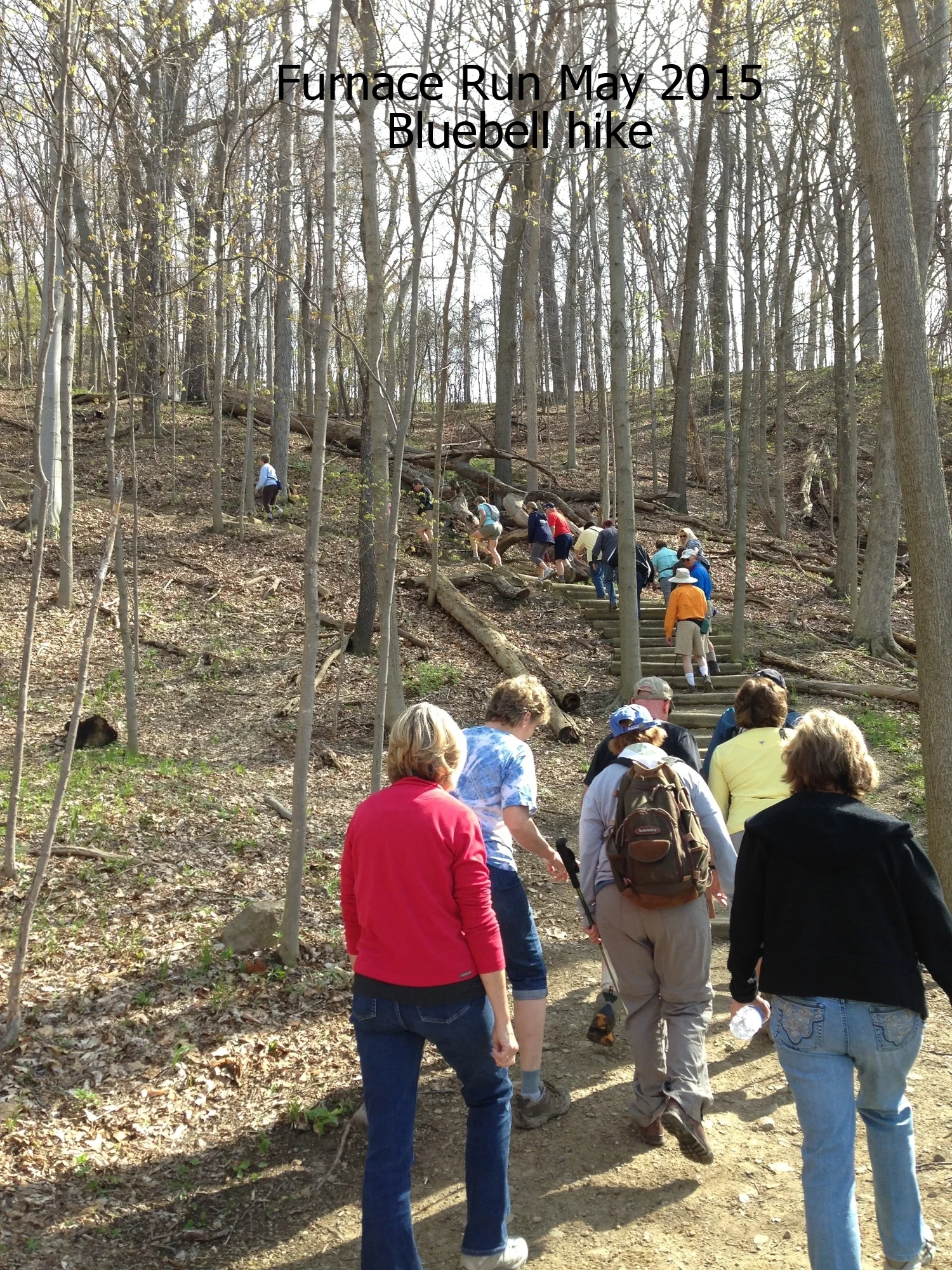 Furnace Run Bluebell Hike May 2015