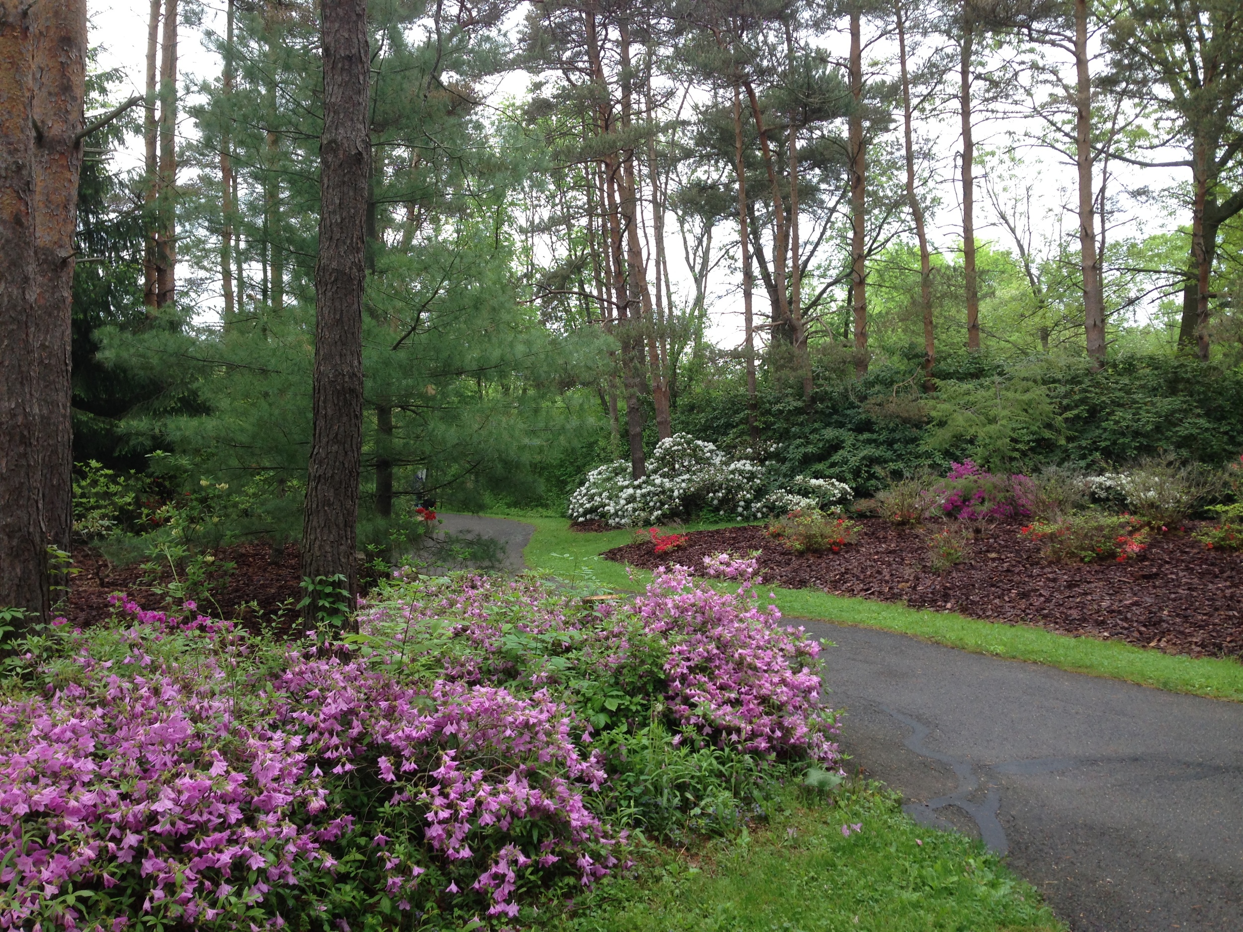 Seiberling Nature Realm in Spring