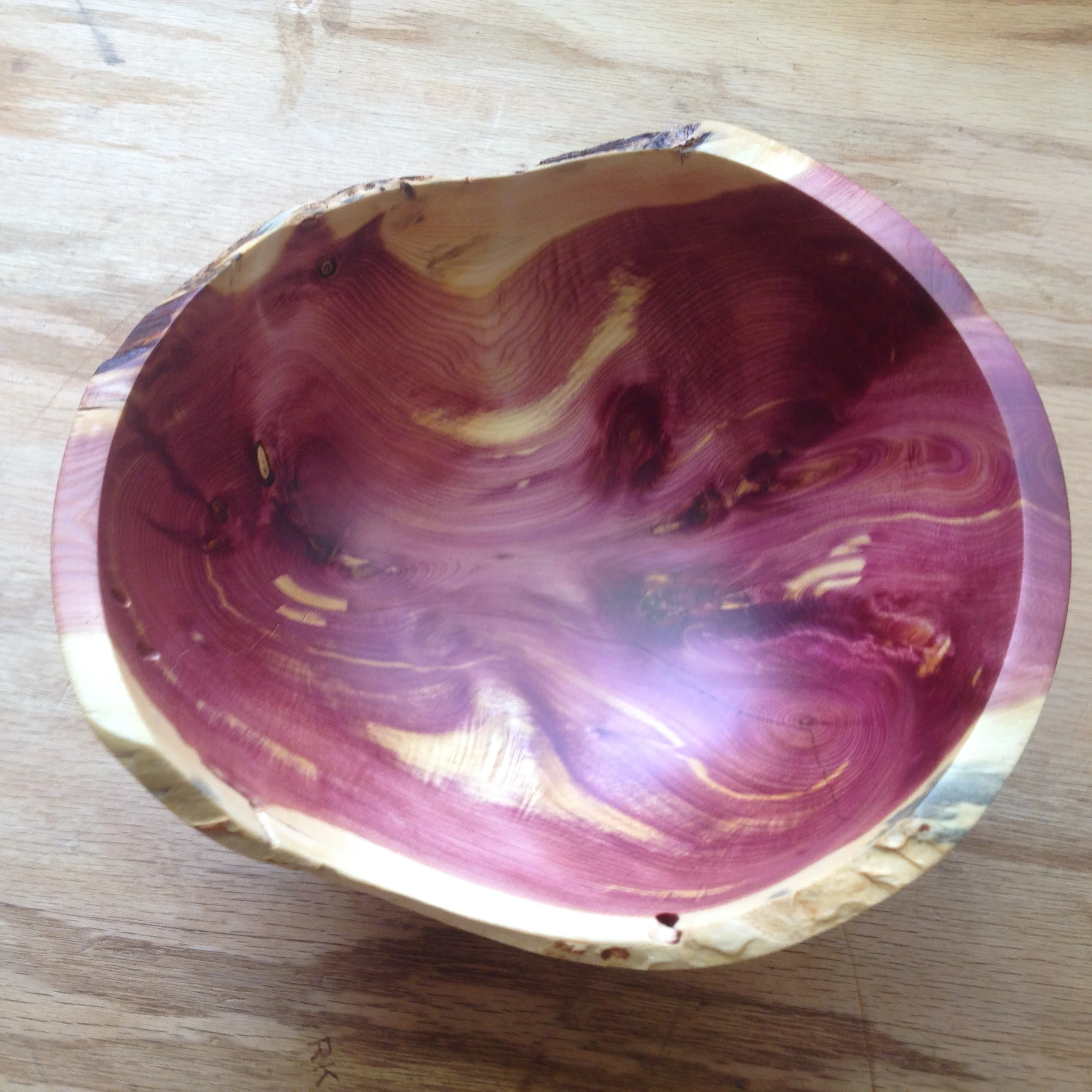 Juniper from the Diamond J Ranch