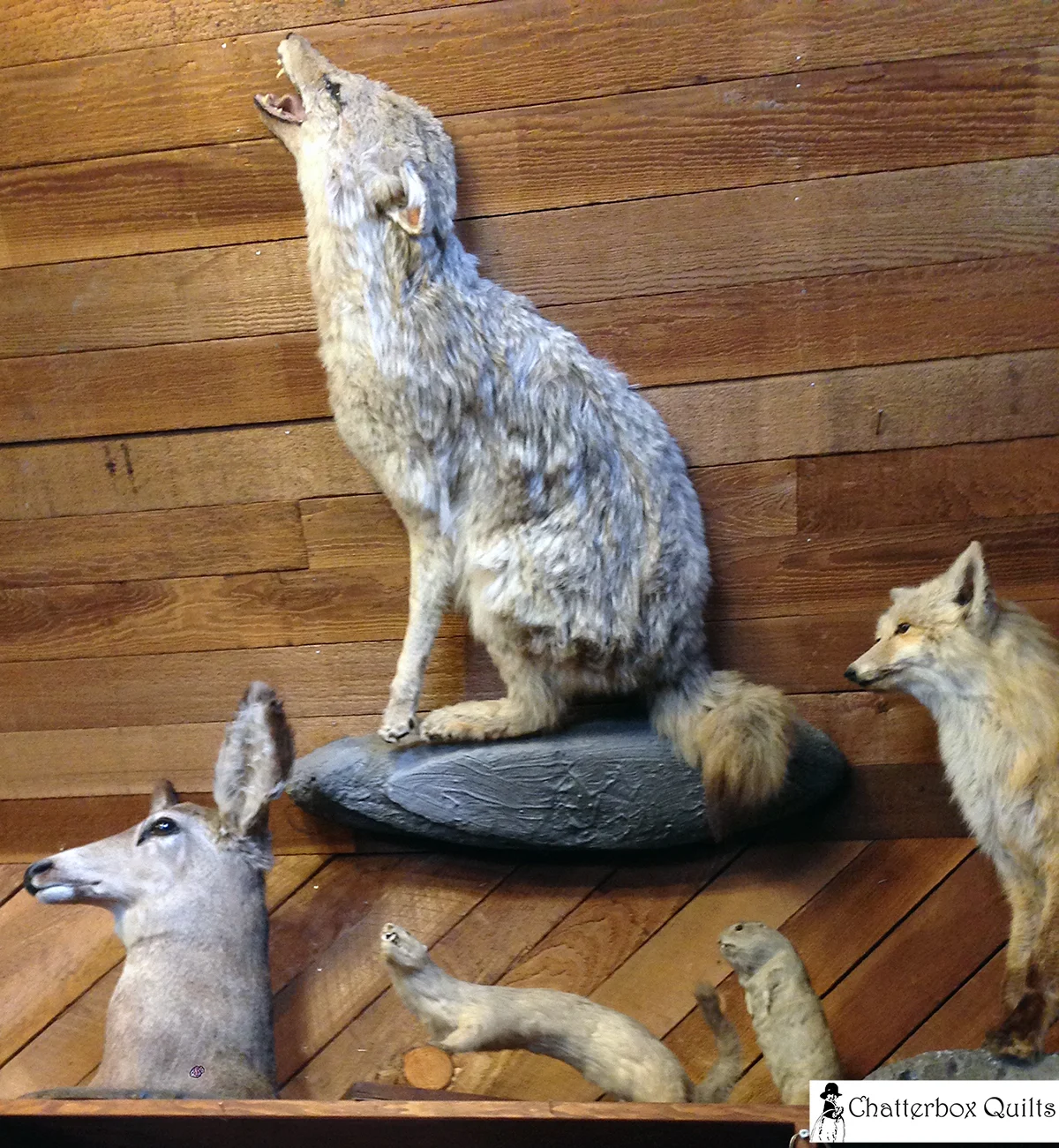 Some of the varmints in the Indian Trading Post