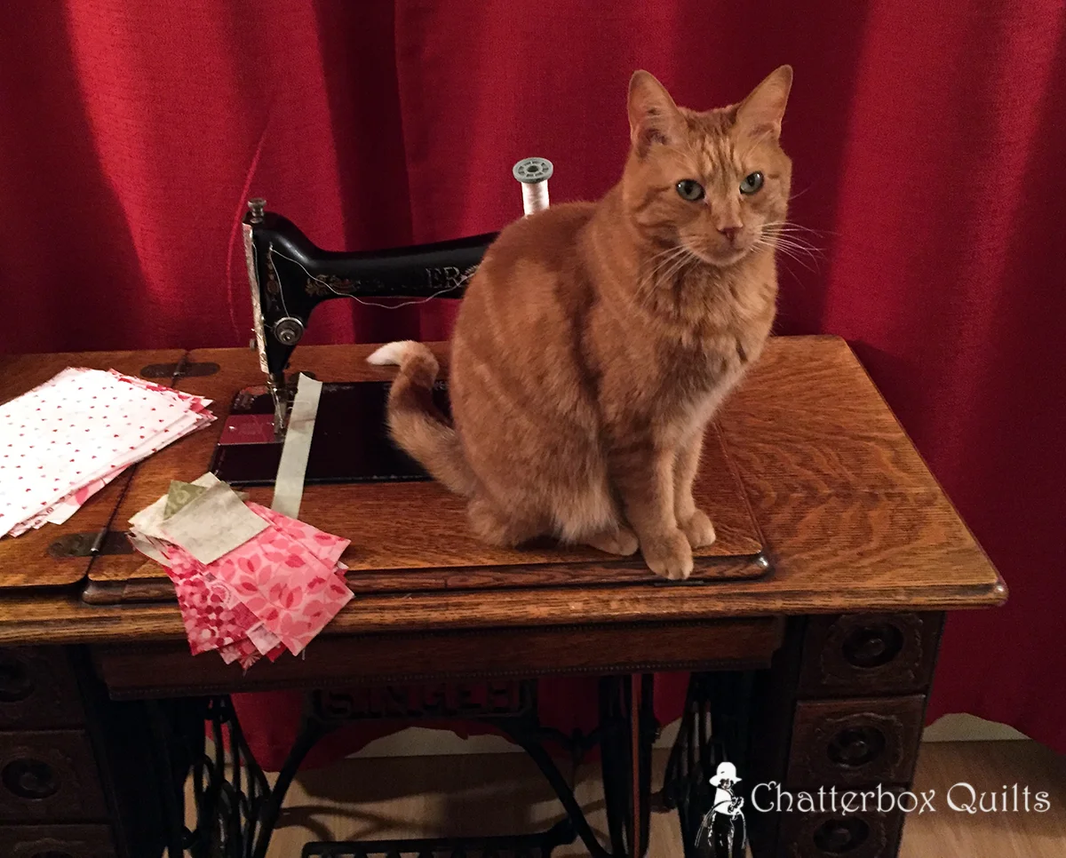 Better move that tail, Charlie, or it might be part of the quilt!