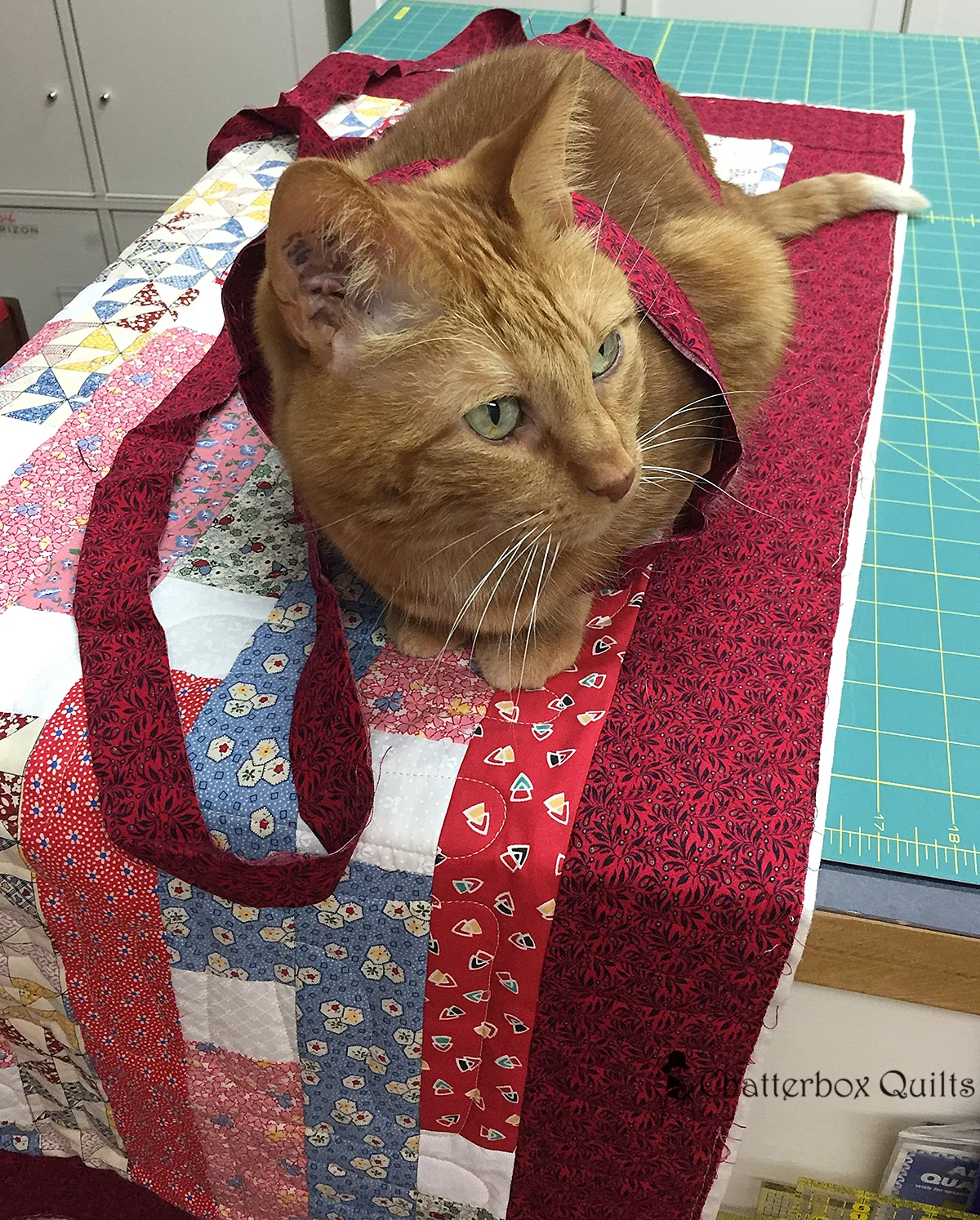 Charlie all ready to start stitching that binding onto the quilt