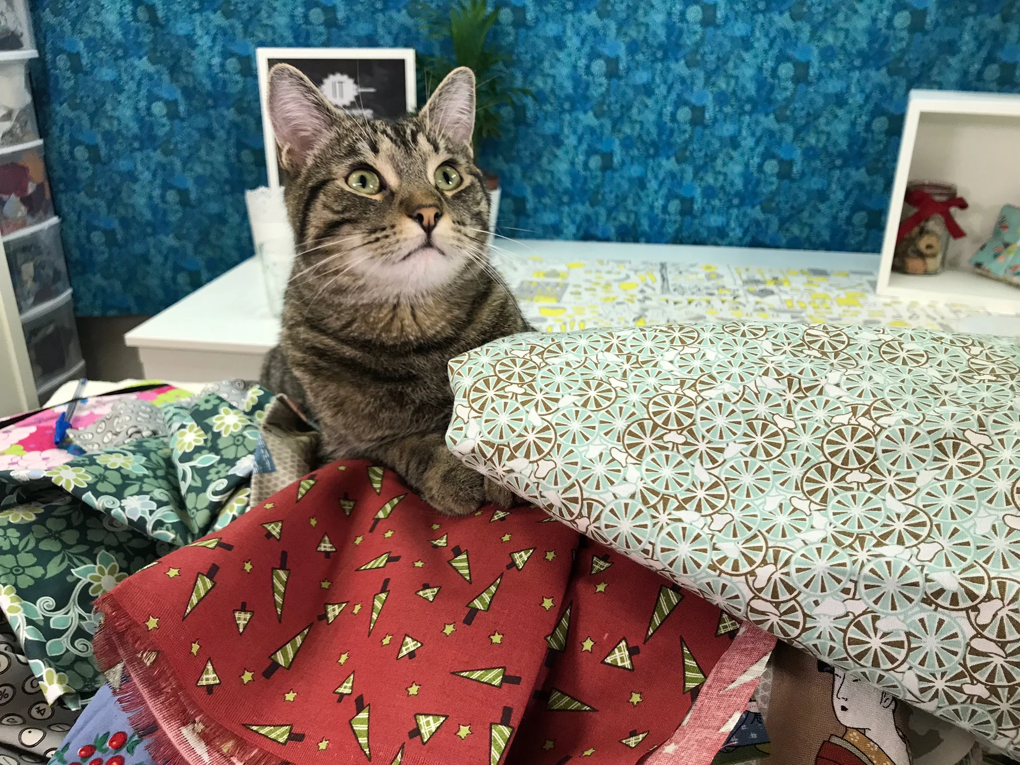Fabric Decluttering Challenge - 3.jpg