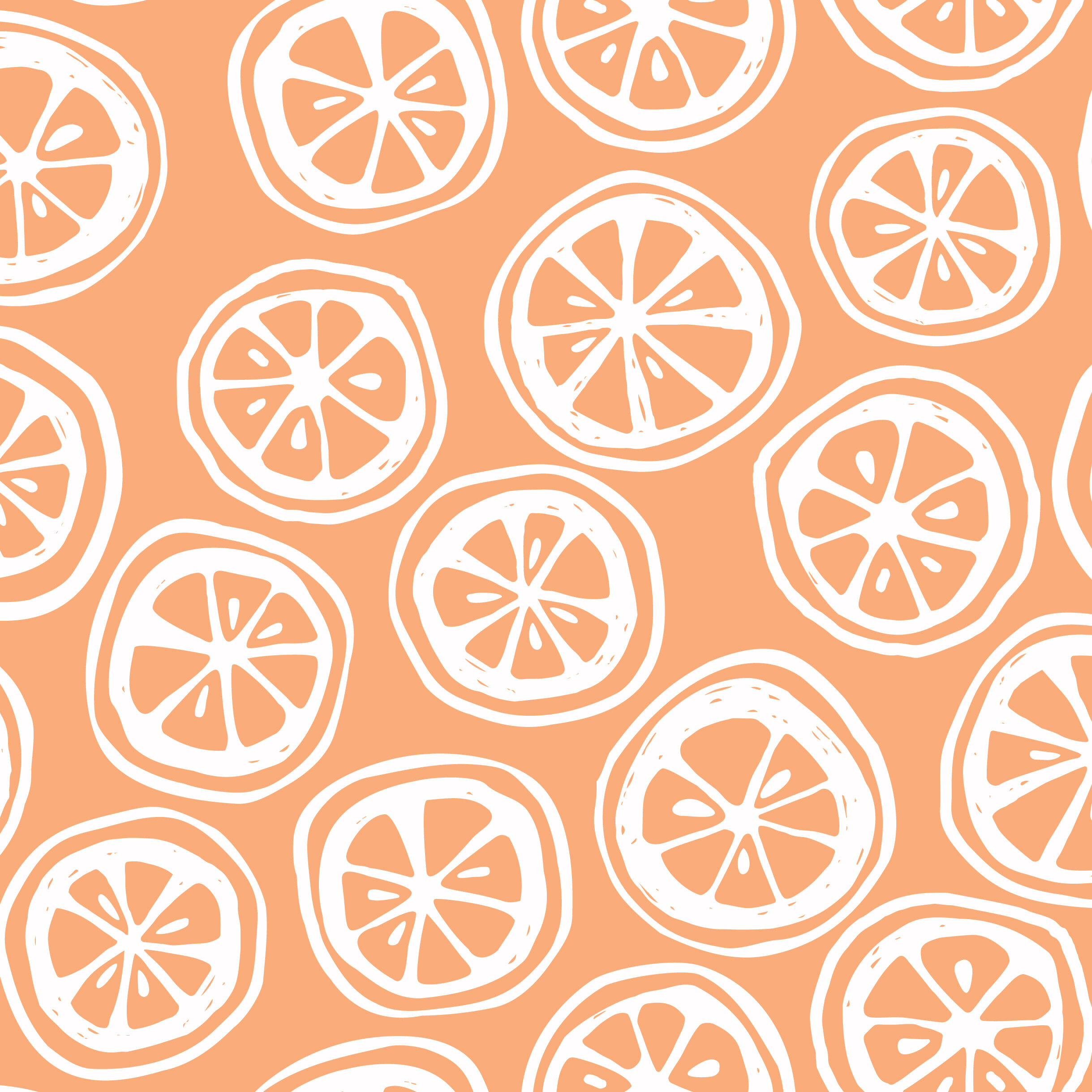 orange-slices-01.jpg