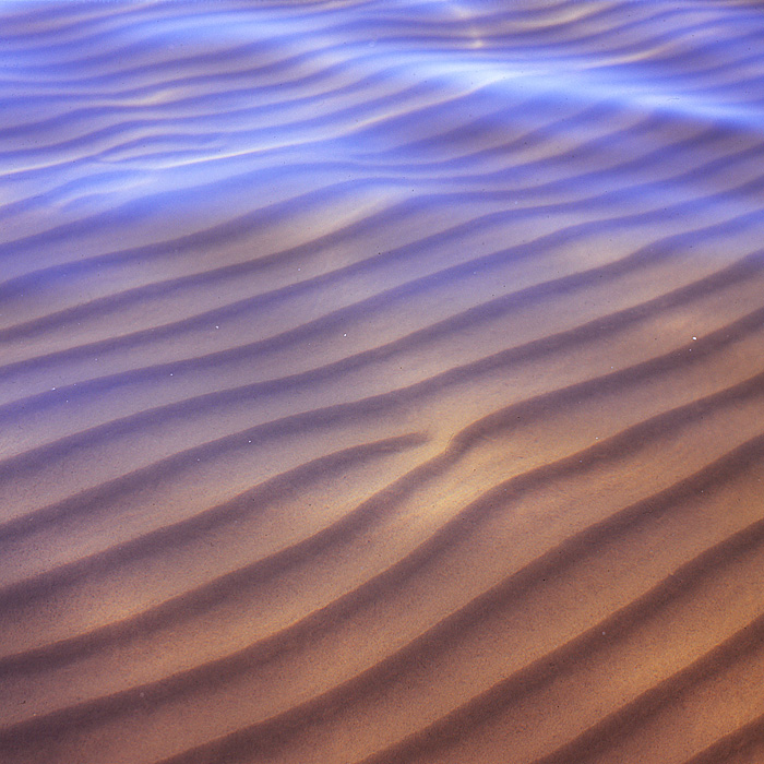 Wave