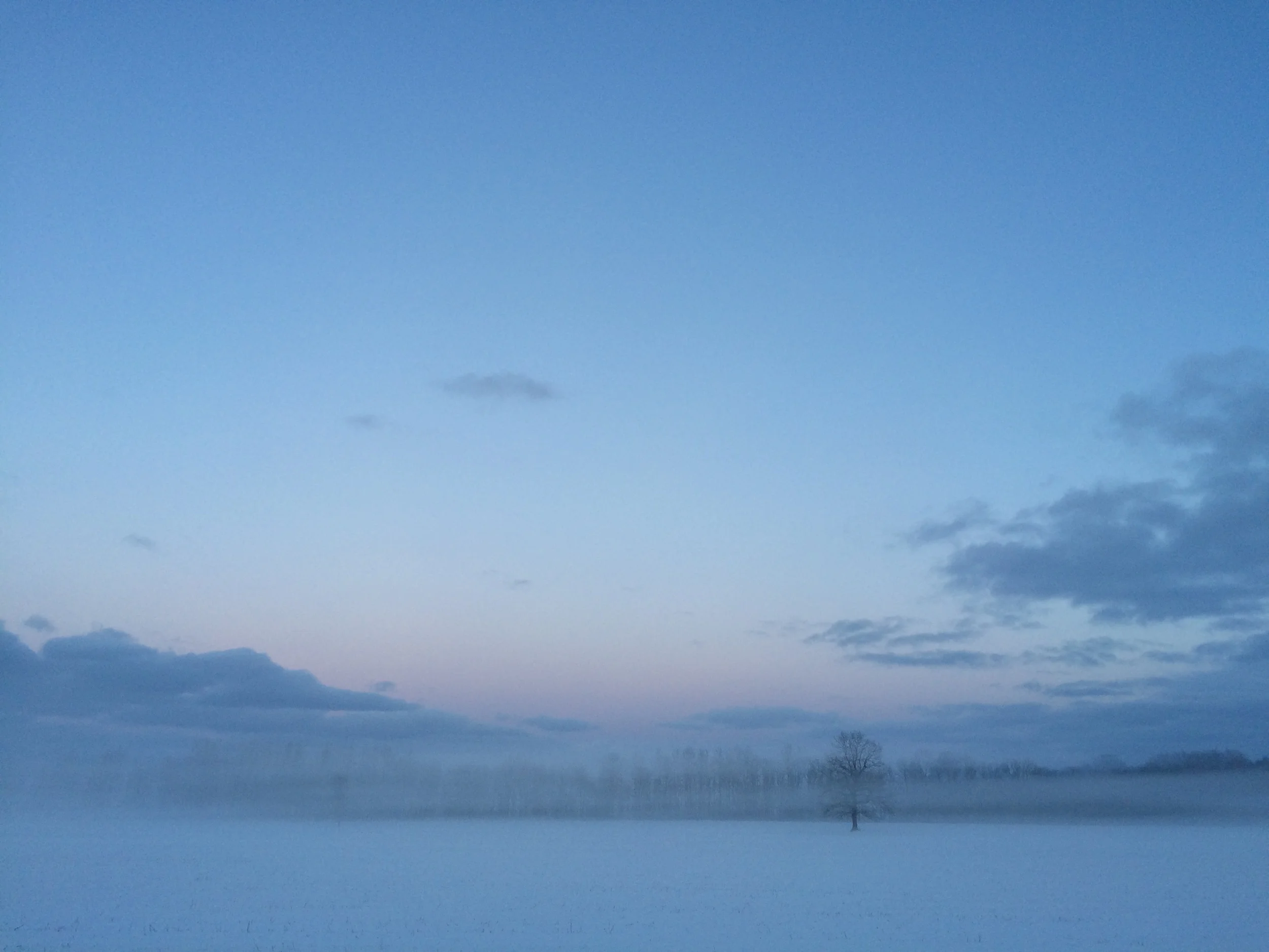 Foggy winter evening, Estonia