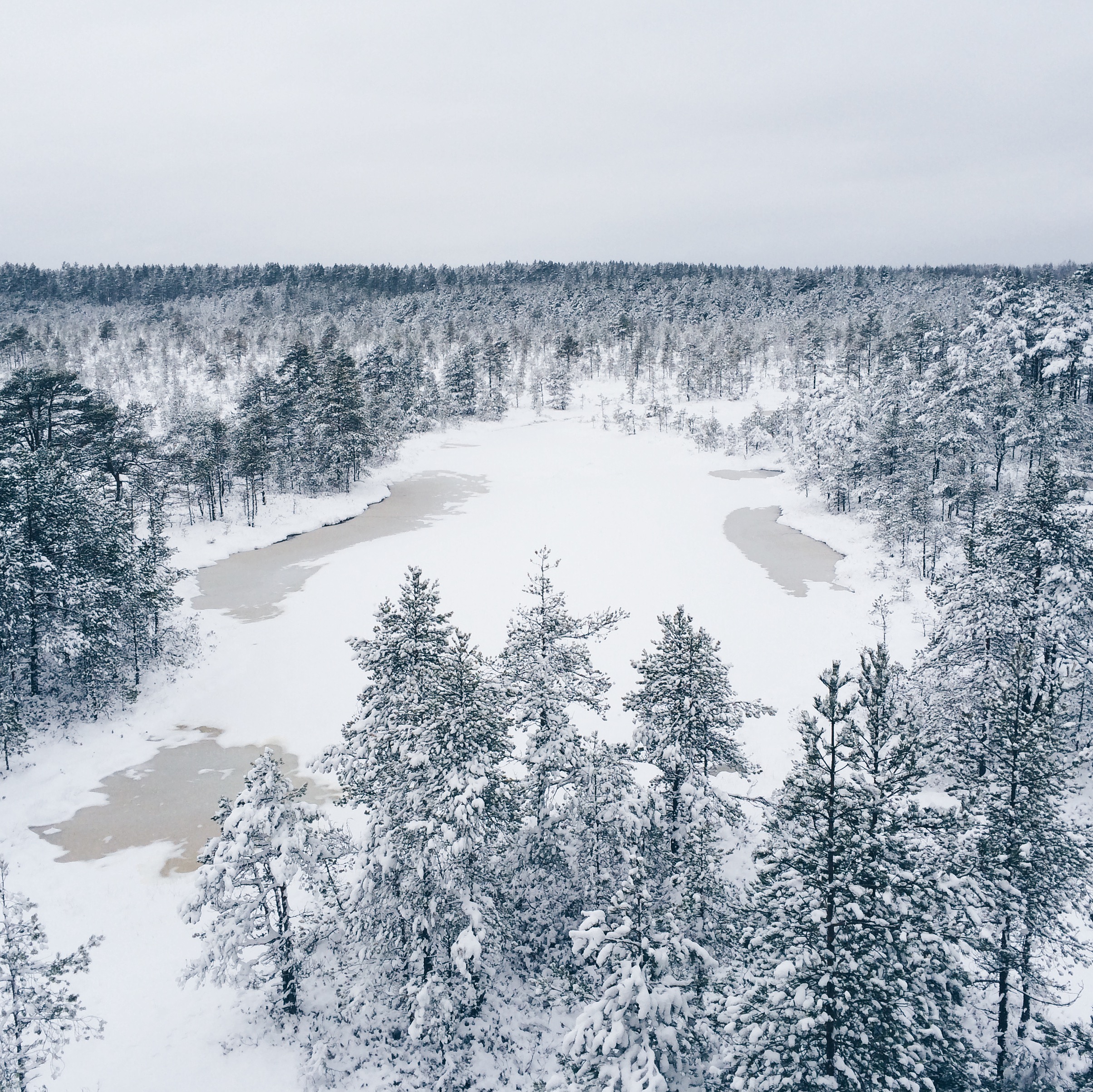 Viru wetlands, Estonia