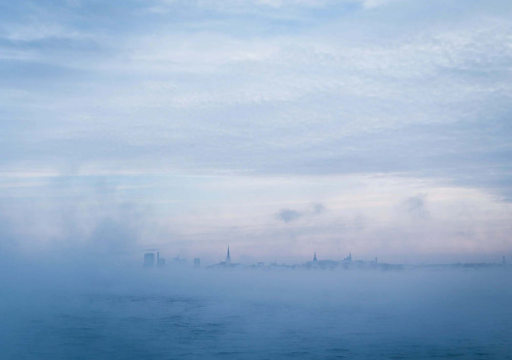 Into the mist - Tallinn, Estonia
