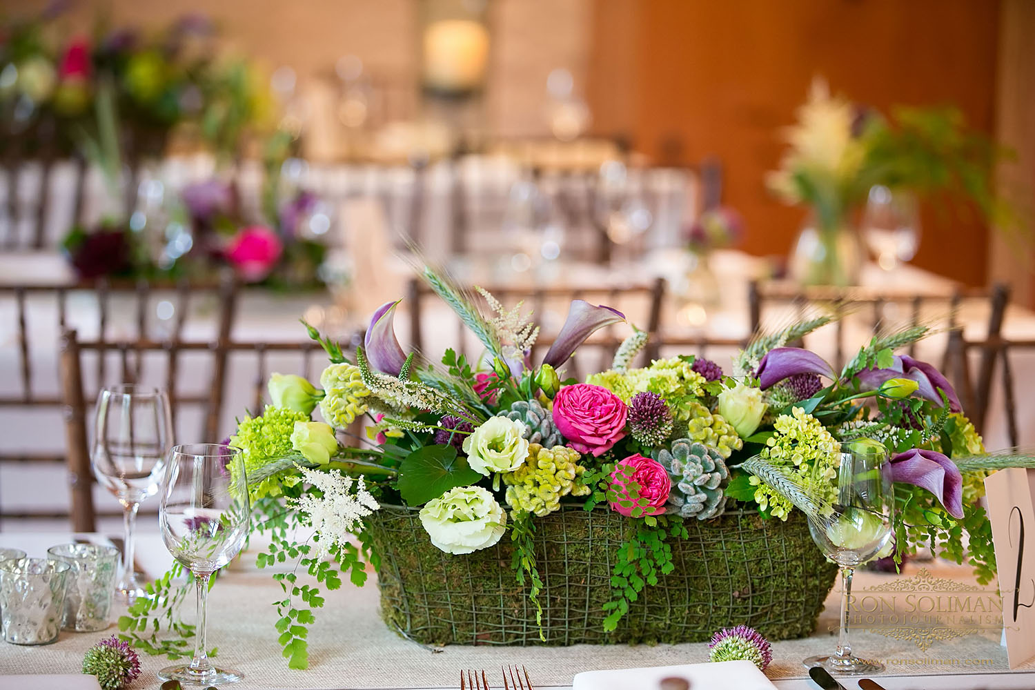Ron Soliman Photography | Wedding Reception | Sweetwater Farm, Glen Mills, PA