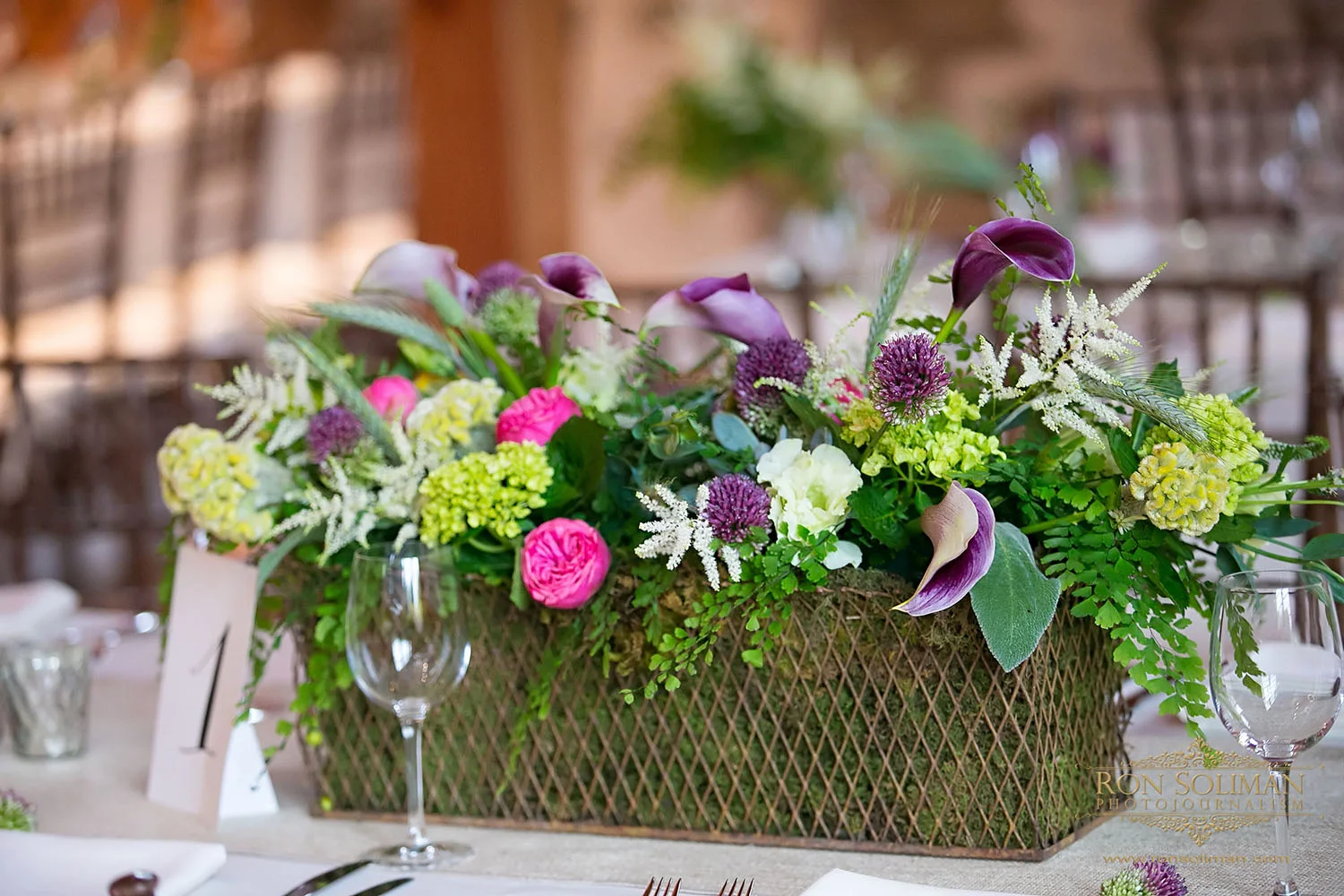Ron Soliman Photography | Wedding Reception | Sweetwater Farm, Glen Mills, PA