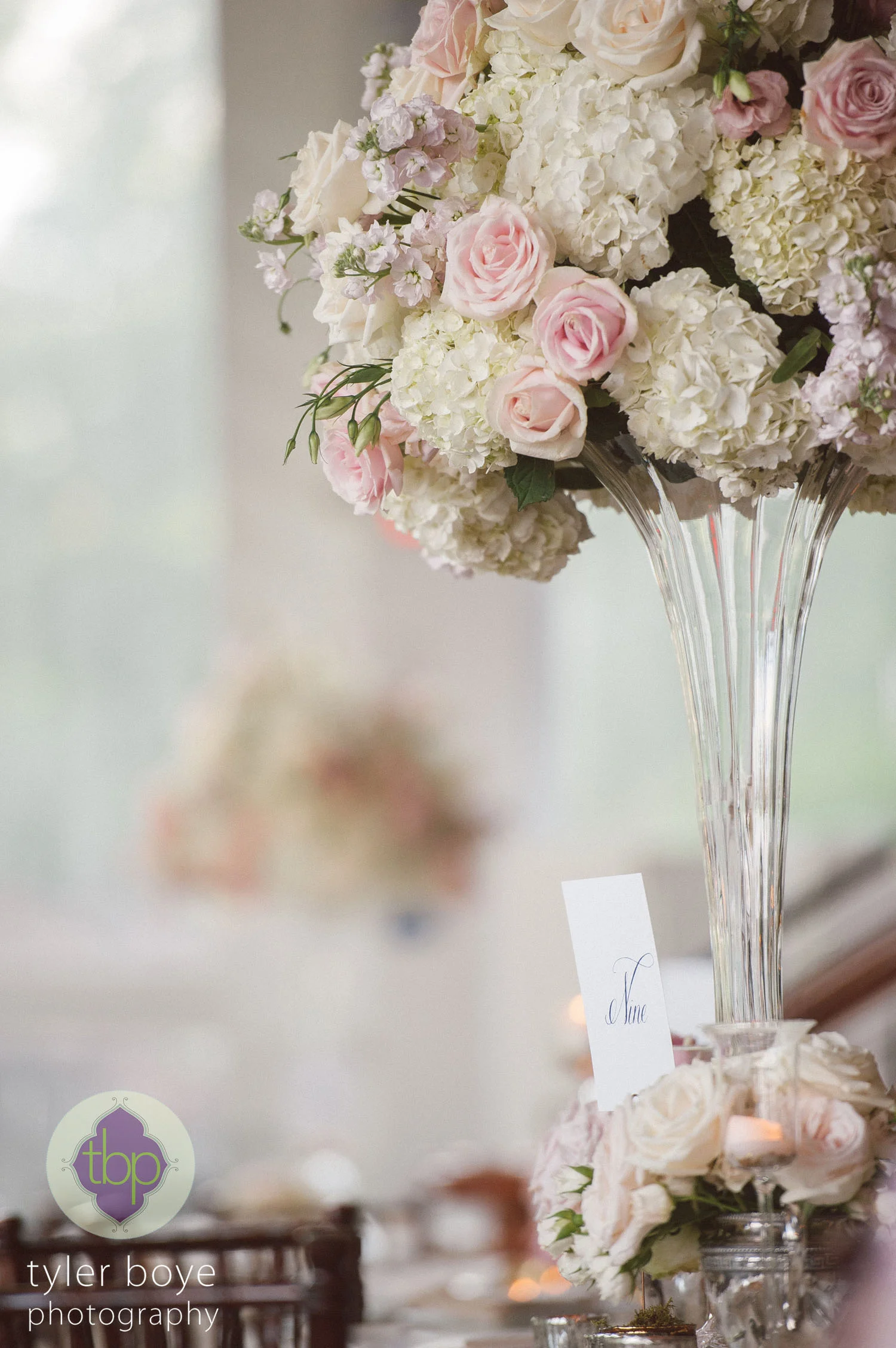 Tyler Boye Photography | Wedding Reception | Manor House at Prophecy Park, Ambler, PA