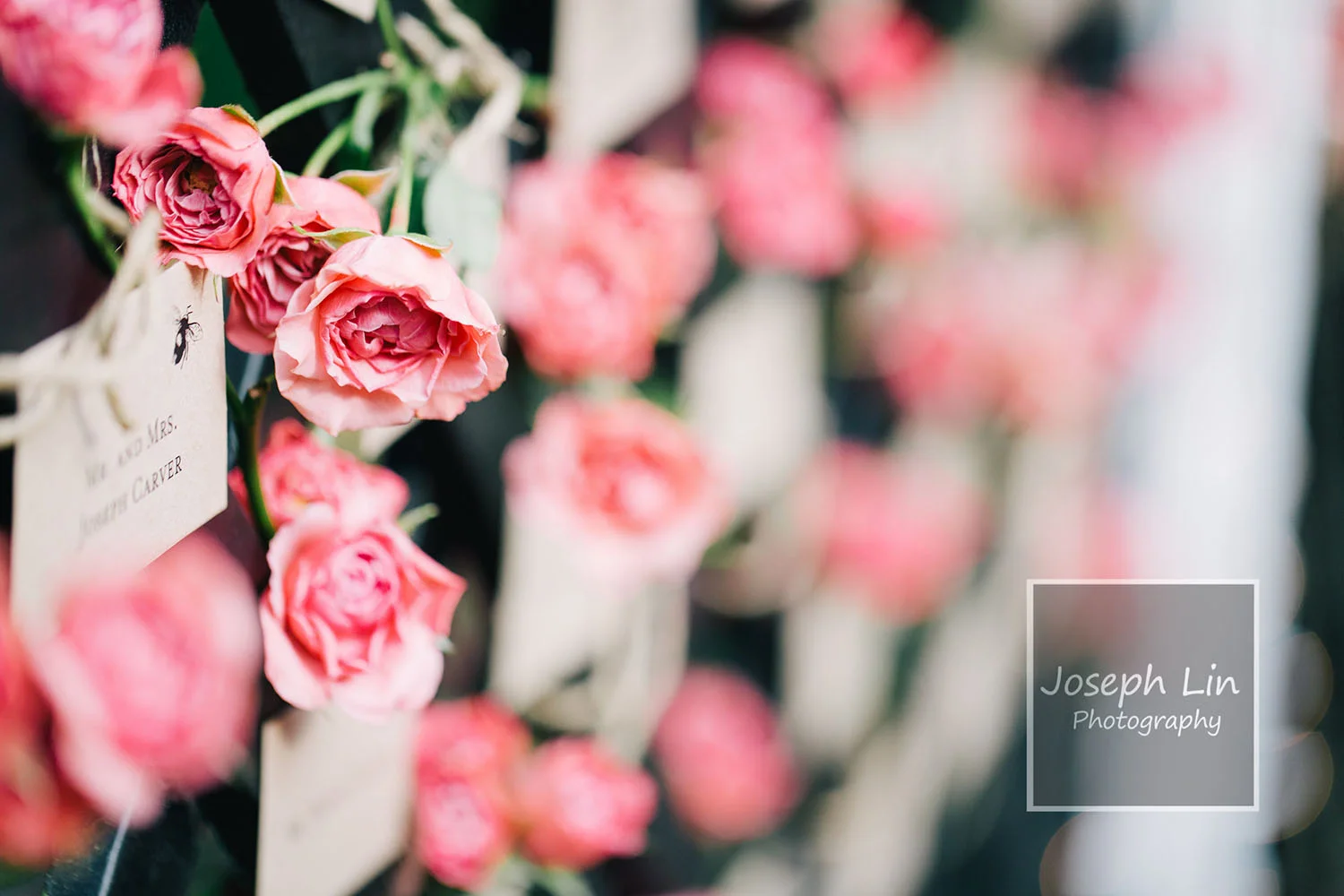 Joseph Lin Photography | Wedding Reception | Home in Gladwyne, PA