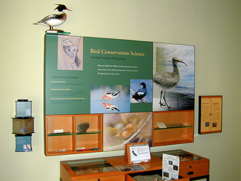 SA10_portfolio600_08b.jpg
