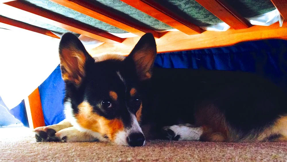 The Message Under the Bed