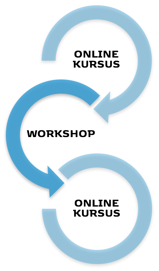 Onlinekursus.png
