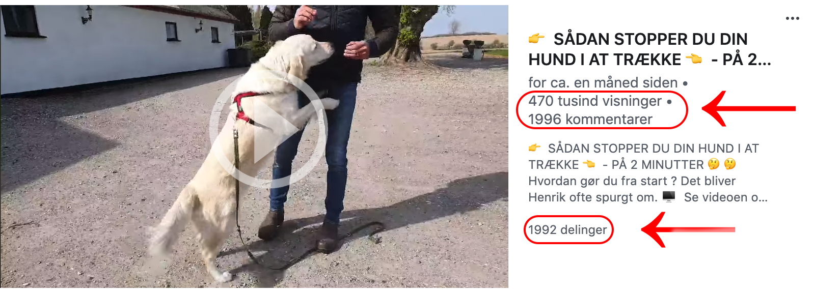 Henrik.png