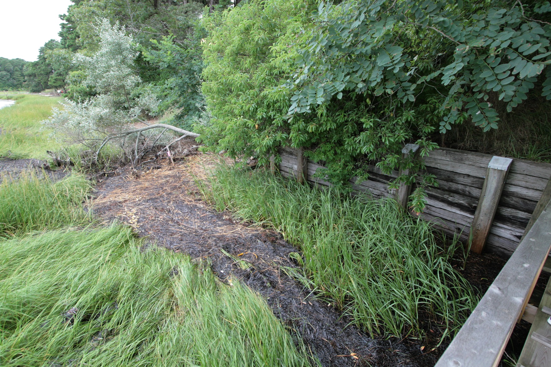 before - old chatham seawall