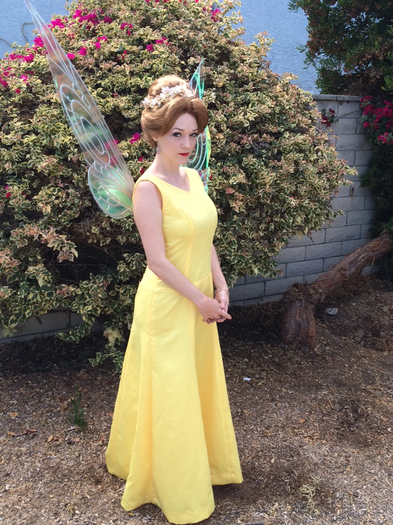 Queen Clarion Fairy Costume