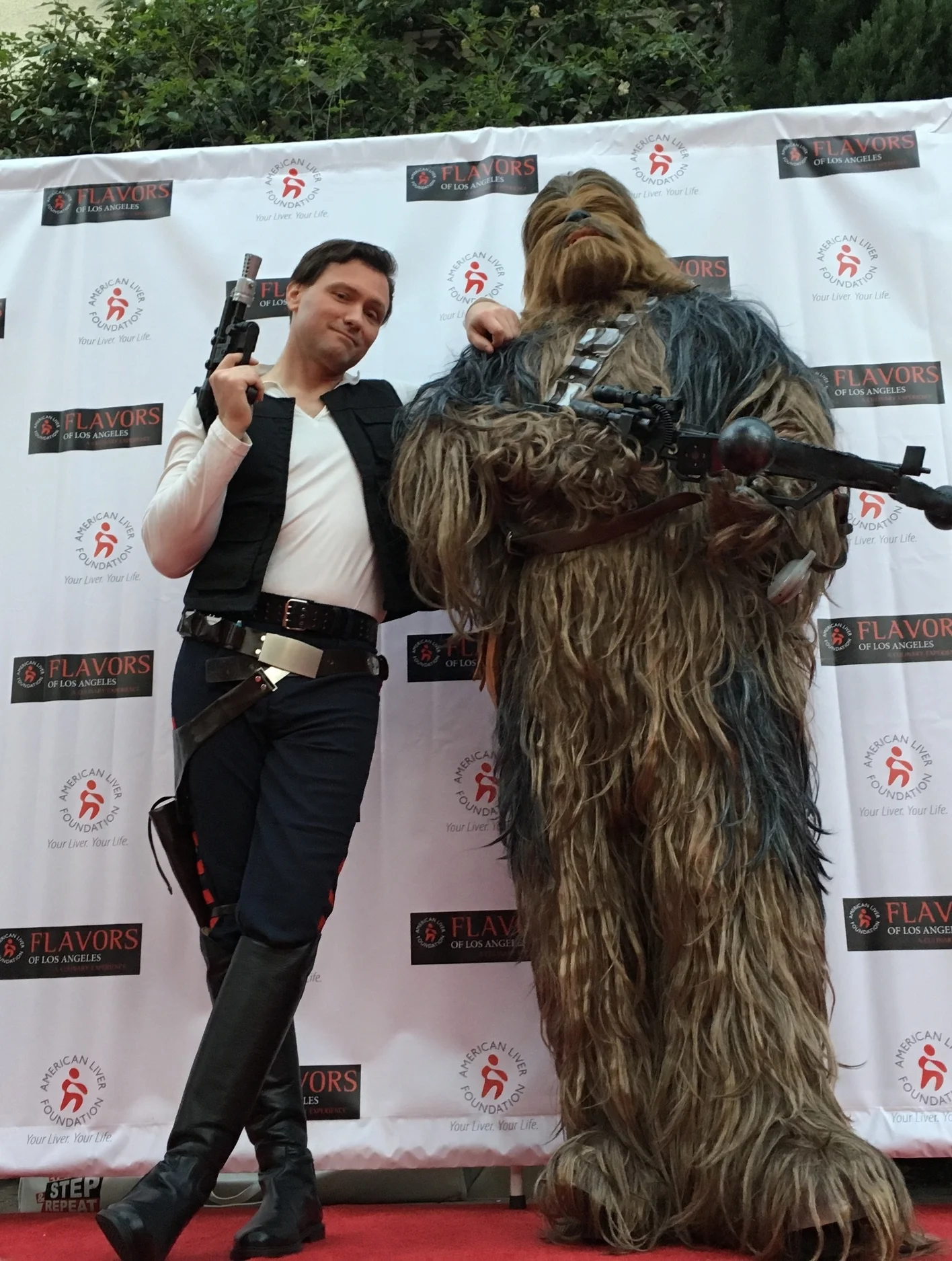 Galactic Rogue and Sidekick