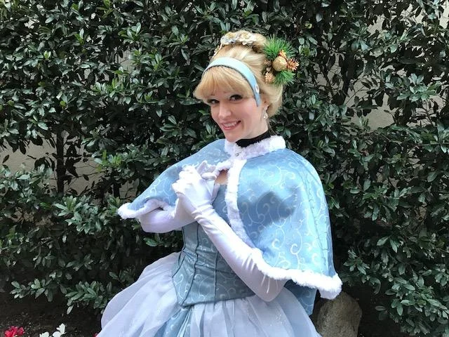 Holiday Cinderella