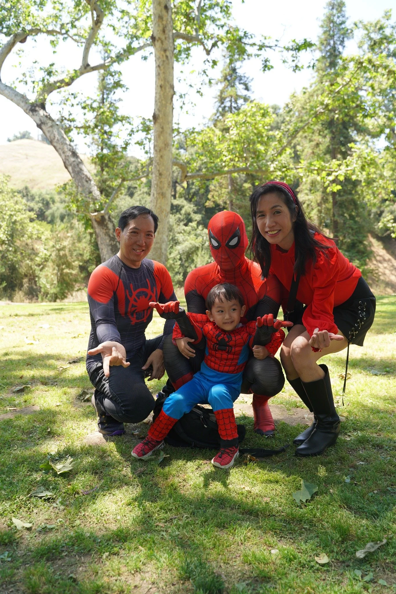 spider4.jpg