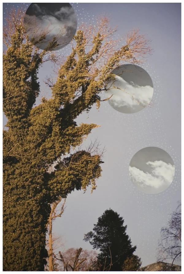 Cycles