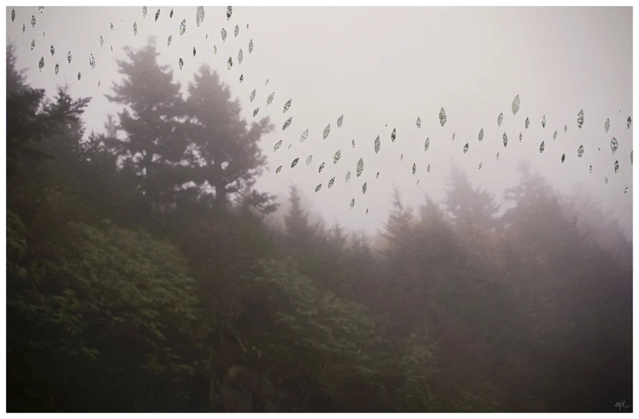 Mist
