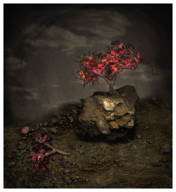 Life After Death