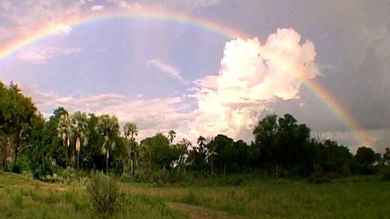 Overview-rainbows-discussion.jpg