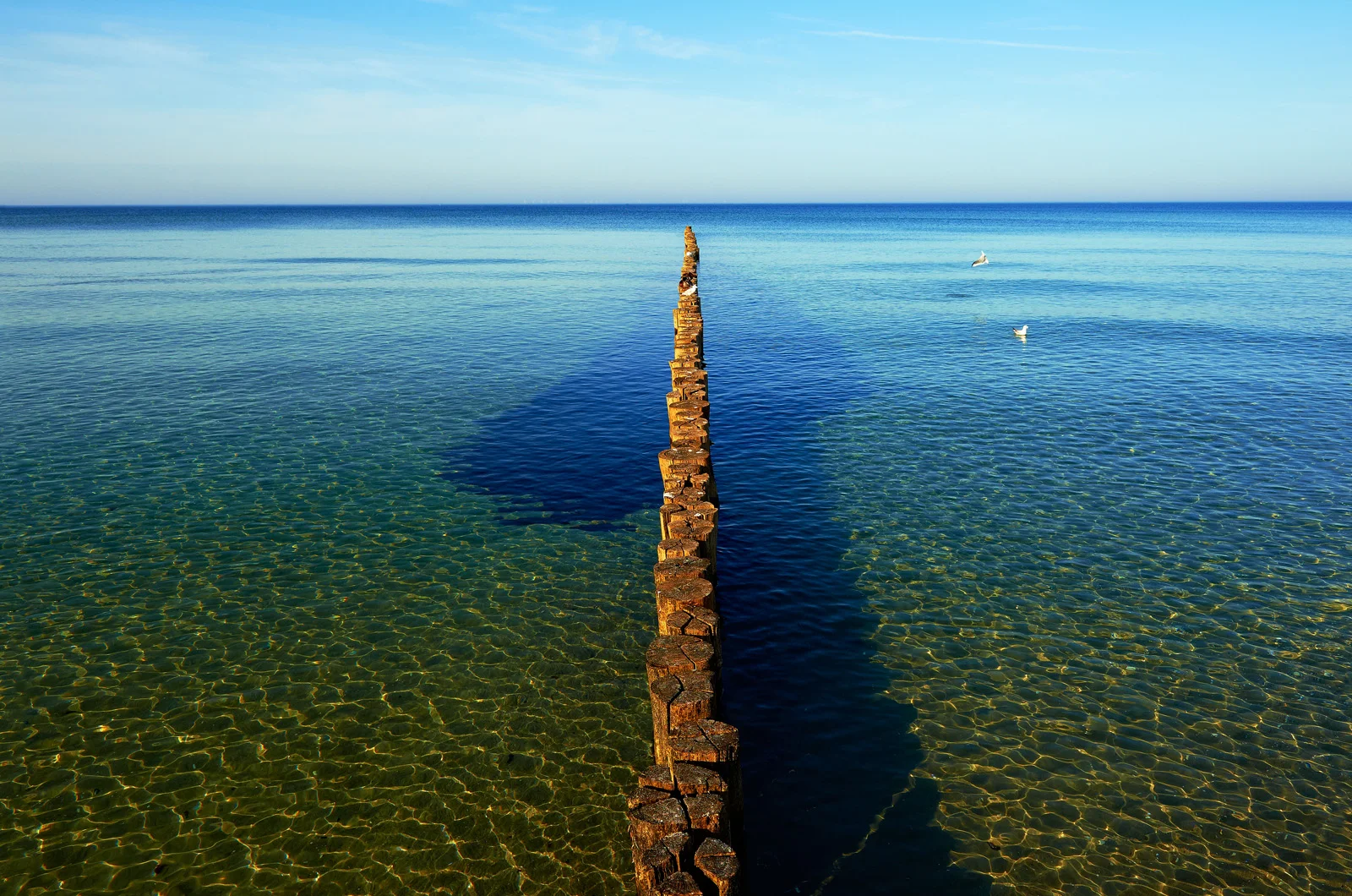 30x40 201210 silent mare 8188 sh sRGB.jpg