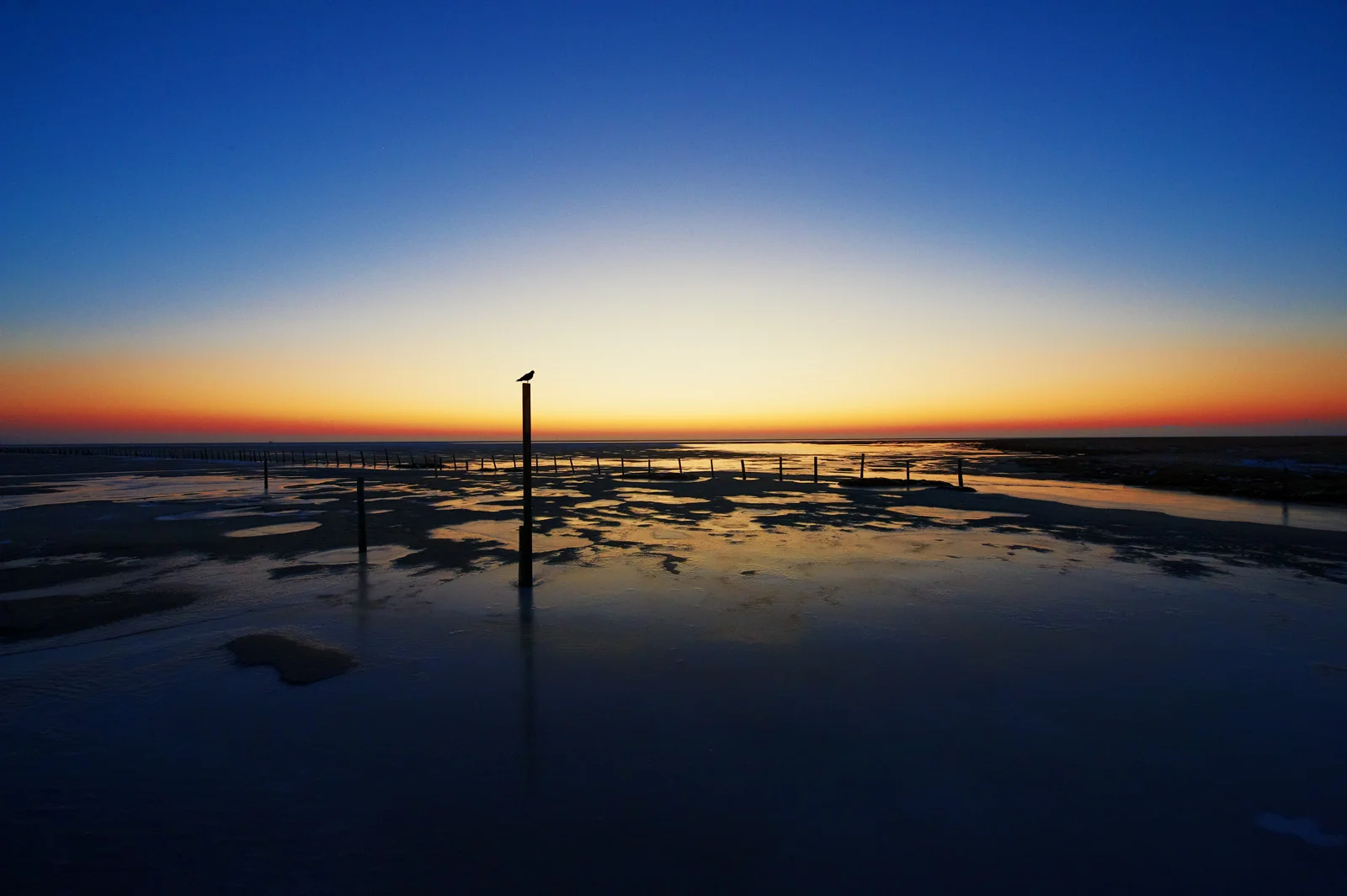 30x40 201201 stakes at sun down 6424 sRGB.jpg