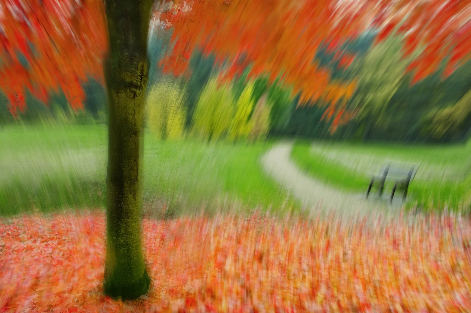 30x40--200910--autum-art-8709-sh-sRGB.jpg