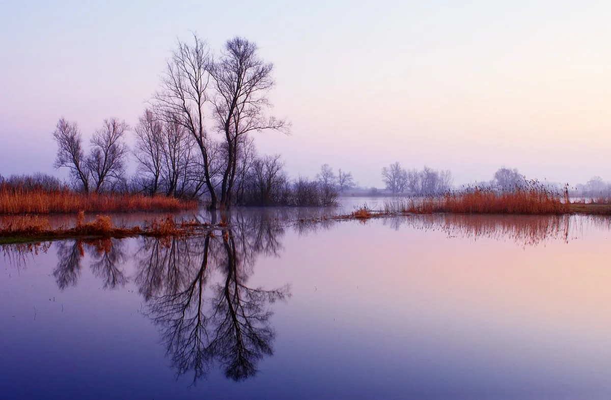 200703  elbpasture mornig 3974 sh sRGB.jpg