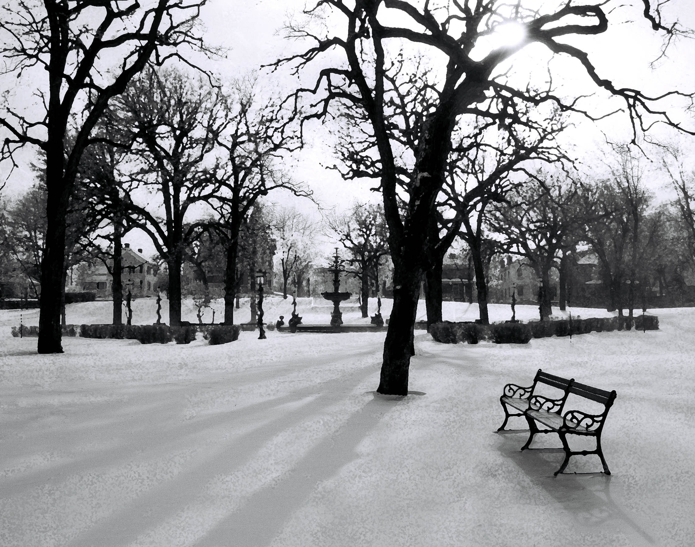 23.. WINTER.SNOW.jpg