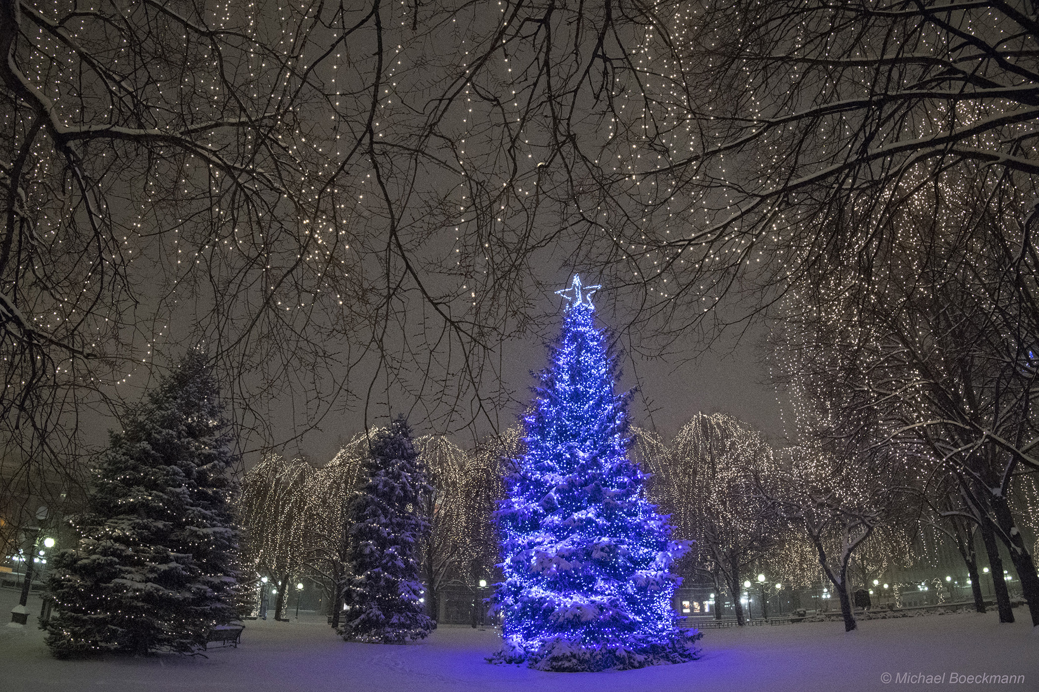 Blu Tree_6079.jpg