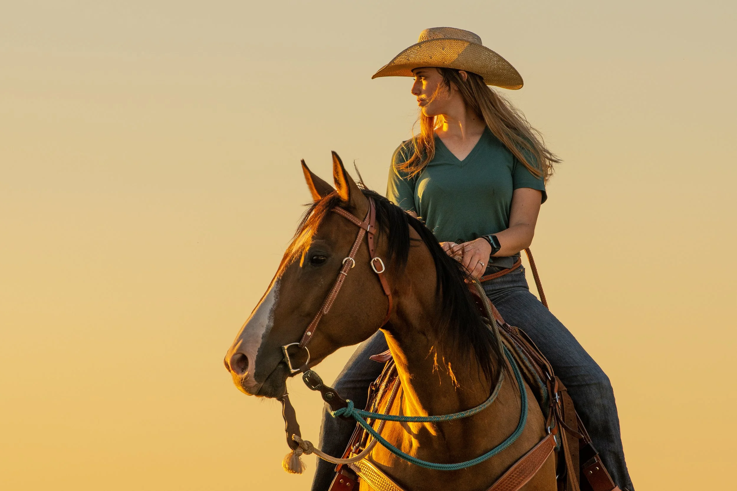 Rider_and_horse_8401.jpg