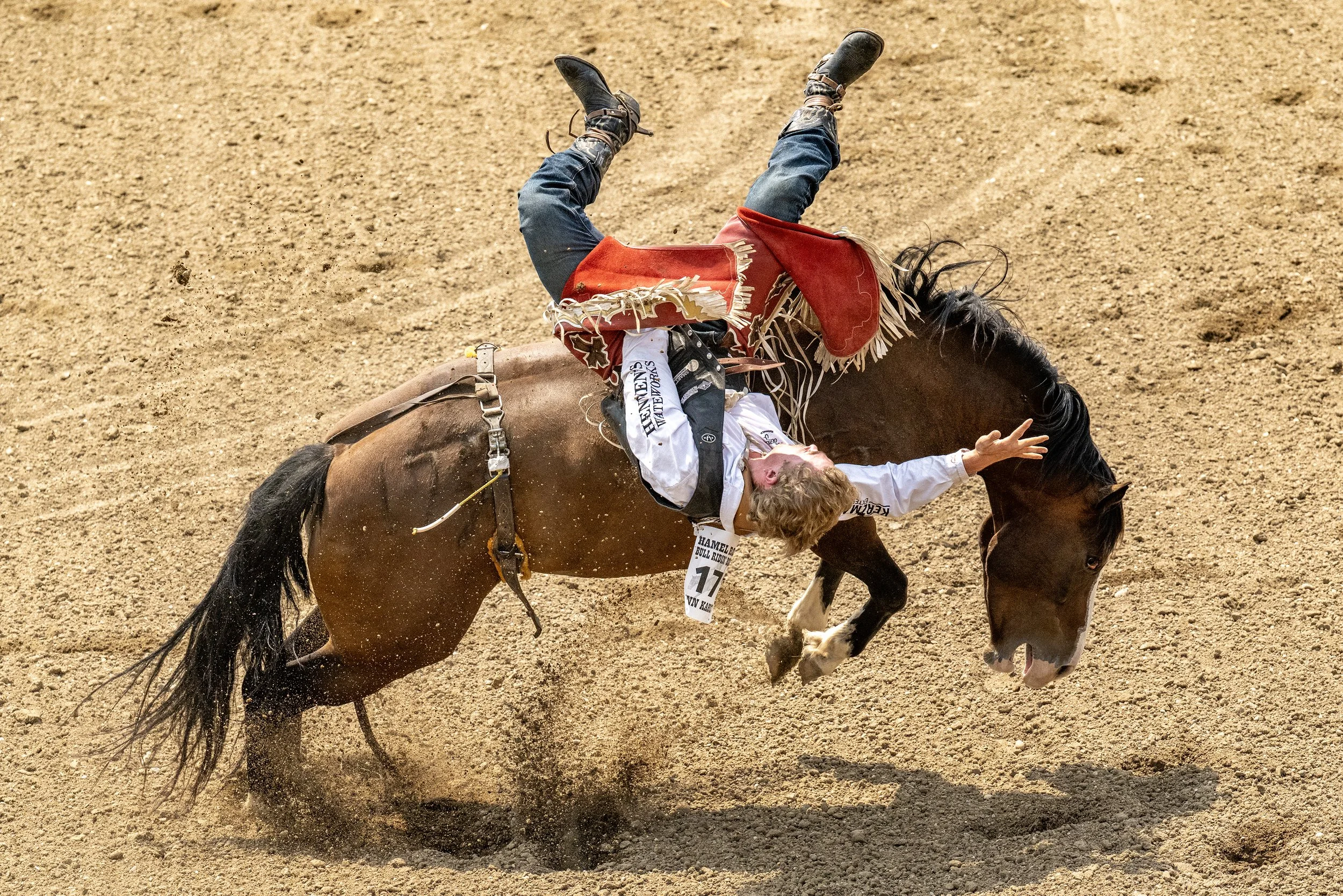 BRONCO_5248.jpg