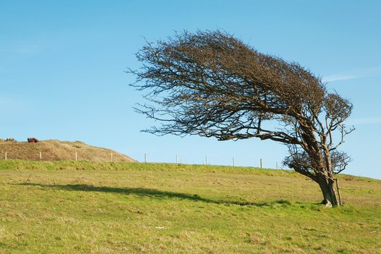 Bouncing Back: The Blueprint for Fostering Business Resilience in Turbulent Times