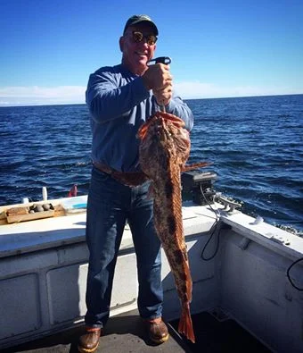 Lingcod.jpg